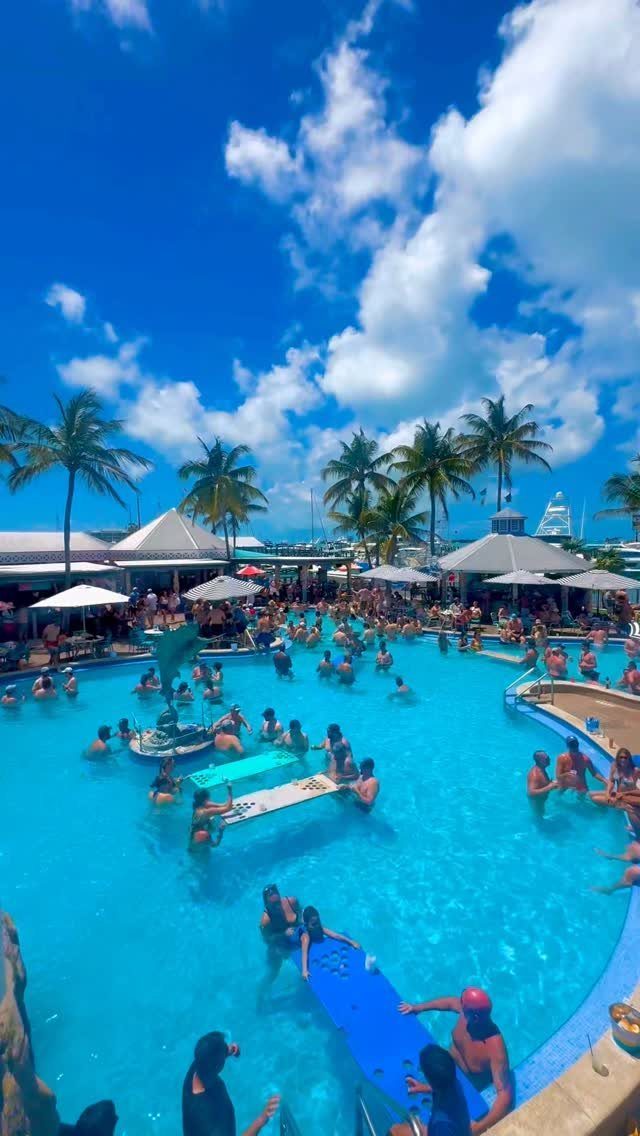 Crowded outdoor swimming pool with palm trees and white umbrellas under a blue sky