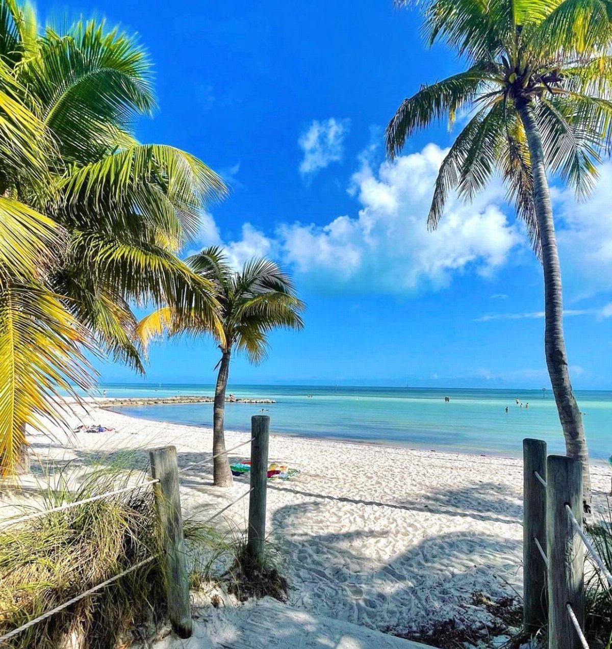White sandy beach with turquoise water and tall palm trees under a blue sky.