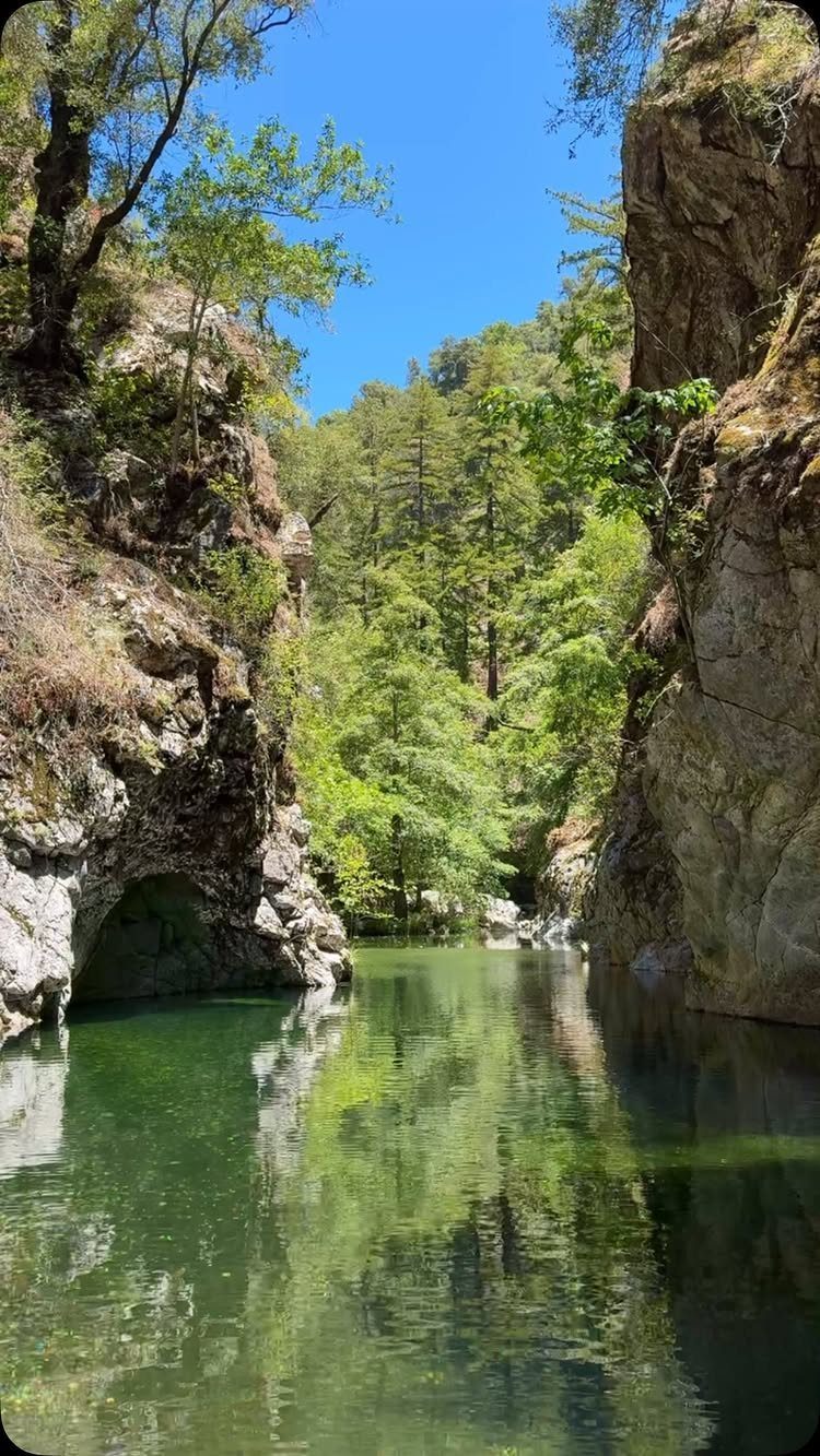 Green river flowing between rocky cliffs and lush forests under a blue sky