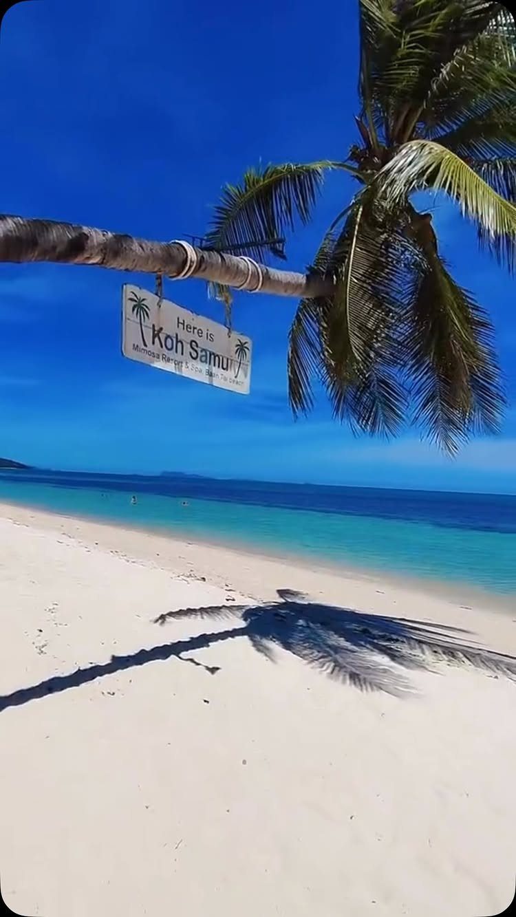 White sandy beach in Koh Samui with a palm tree and sign.