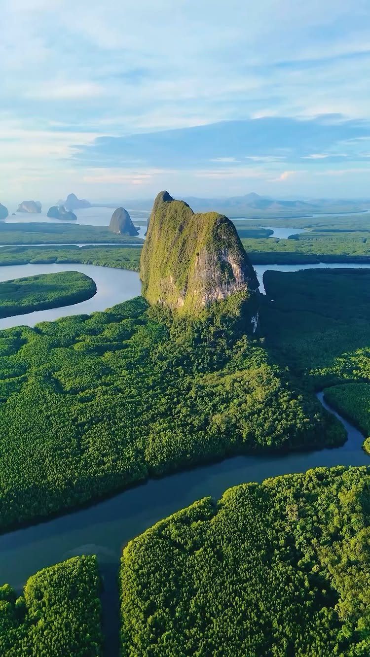 Limestone karst cliff rising above lush green mangroves and winding waterways in Thailand.