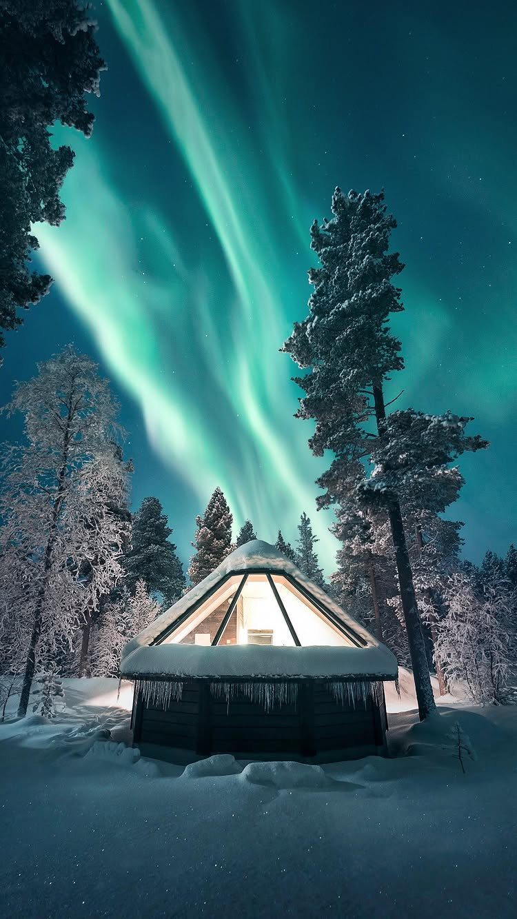 Glass igloo in a snowy forest under a bright green aurora borealis sky