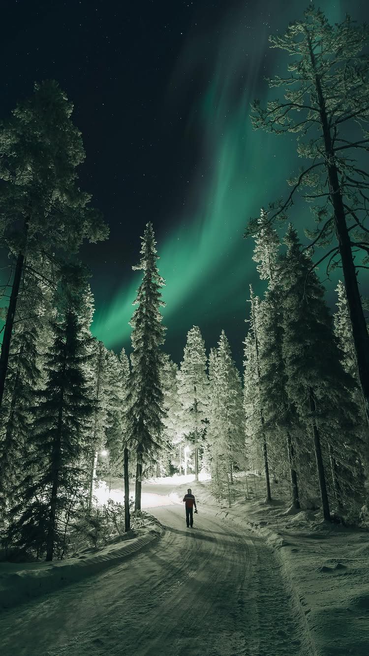 Person walking on snowy road under green northern lights and frosted pine trees