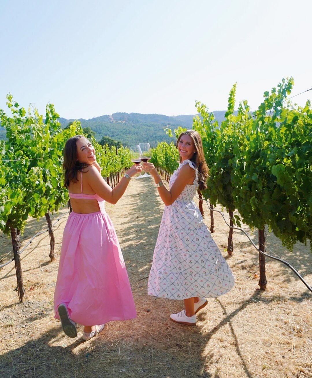12 Vacation Ideas with Friends, from Cruises to Cancun 6 Two women clinking wine glasses while standing between rows of green grapevines.
