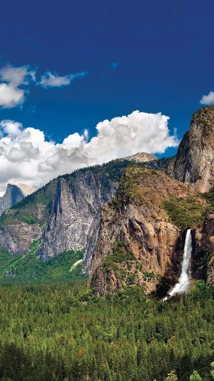 Lush pine forest and granite cliffs with a waterfall under a blue sky.