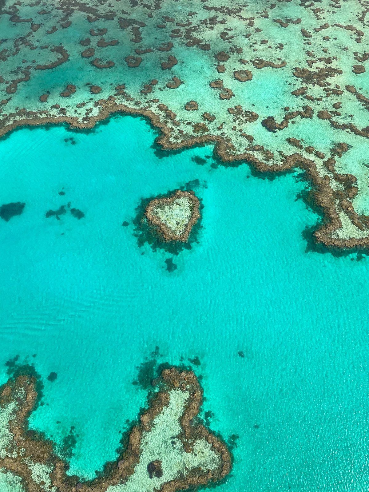 Turquoise ocean water surrounding brown coral reef formations from an aerial perspective.