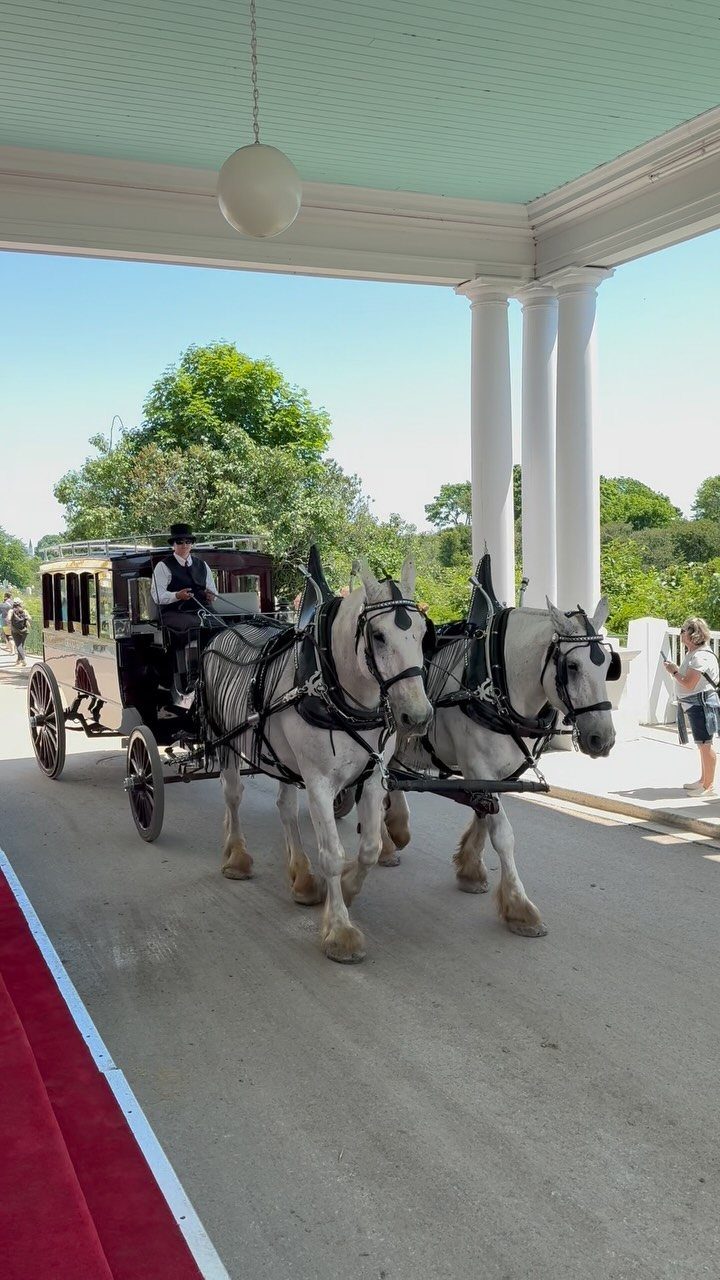 Horse-drawn carriage with two white horses waiting under a white pillared porch.