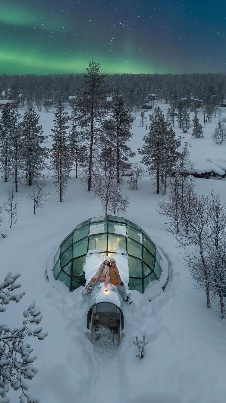 Glass igloo in a snowy forest under a green aurora borealis night sky