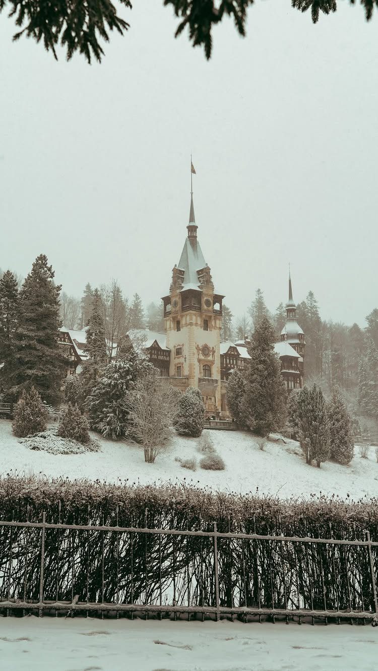 Ornate castle with spires surrounded by snow and evergreen trees in winter.