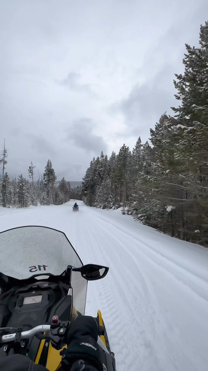 Yellow snowmobile on a snowy trail surrounded by frost-covered evergreen trees.
